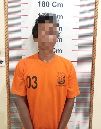 Polsek Hinai Polres Langkat Berhasil Tangkap Pelaku Dugaan Pencurian dengan Pemberatan
