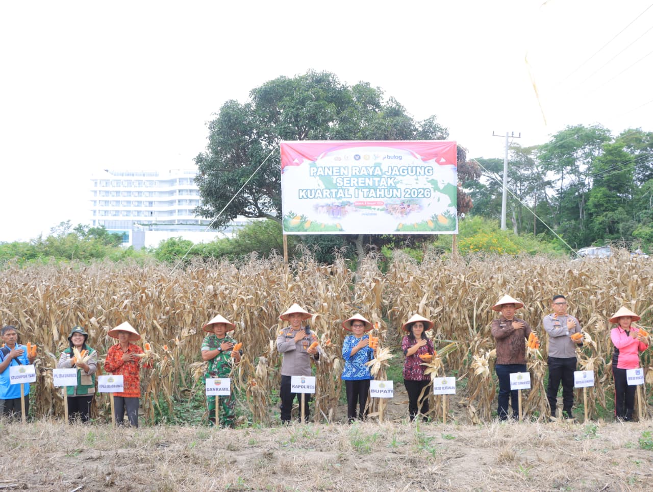 Panen Raya Jagung Serentak Kuartal I 2026, Polres Samosir Dukung Program Ketahanan Pangan Nasional.