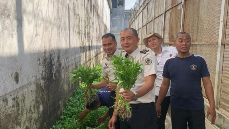 Kembali Sukses Panen Kangkung, Rutan Tanjung Pura Komitmen Dukung Ketahanan Pangan Nasional