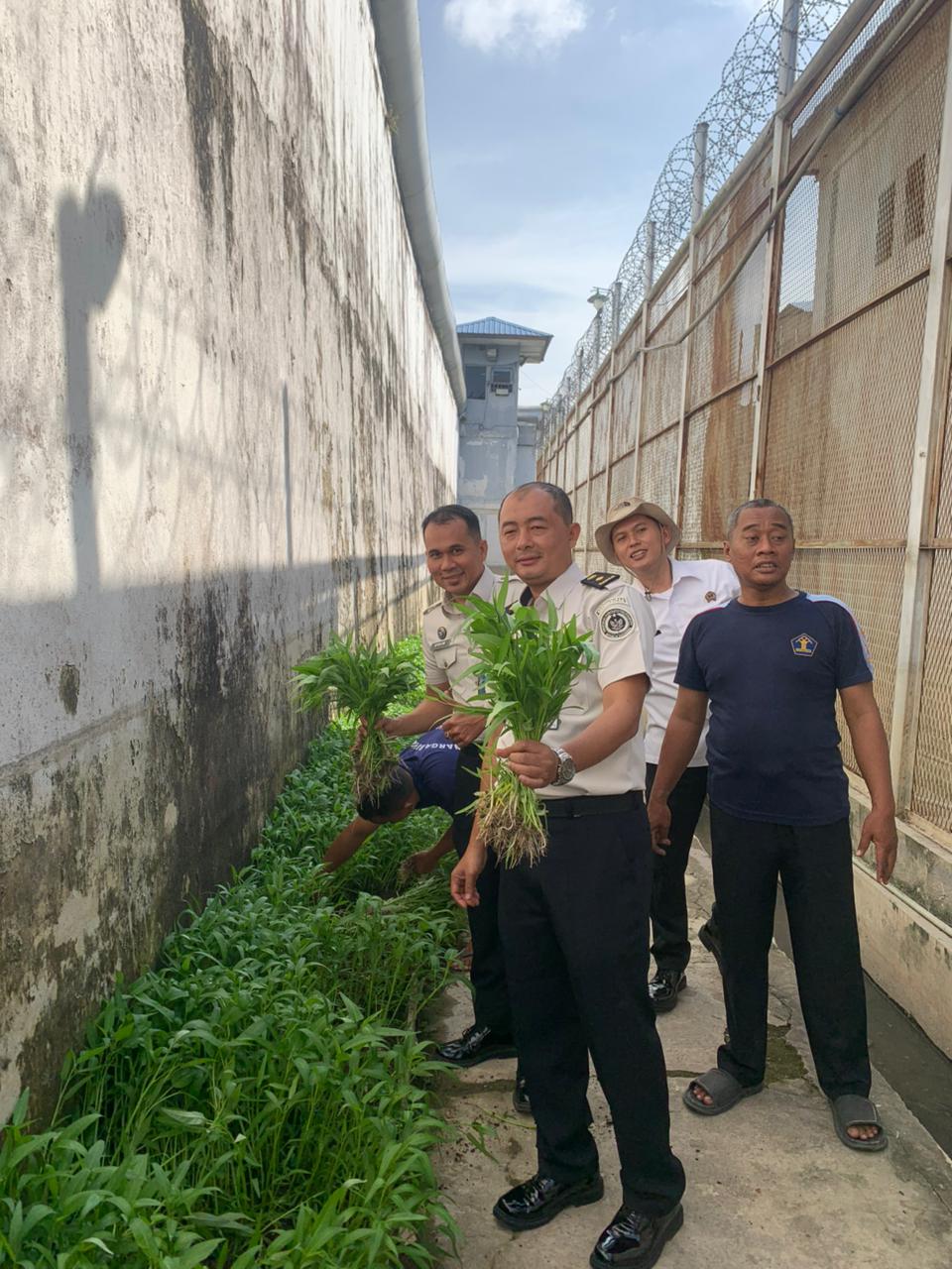 Kembali Sukses Panen Kangkung, Rutan Tanjung Pura Komitmen Dukung Ketahanan Pangan Nasional