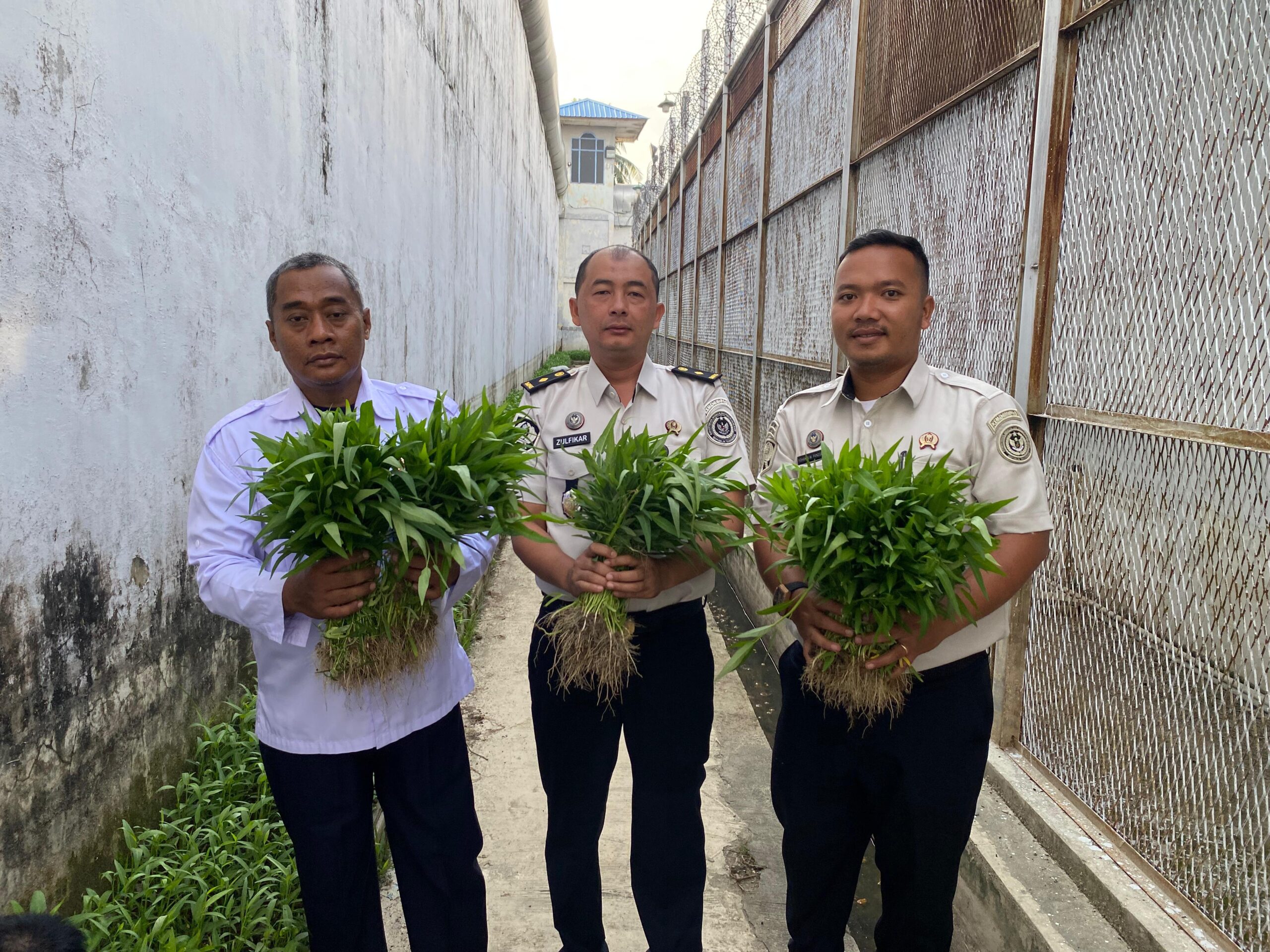 Komitmen Dukung Ketahanan Pangan Nasional, Rutan Tanjung Pura Panen Raya 50 Kilogram Kangkung