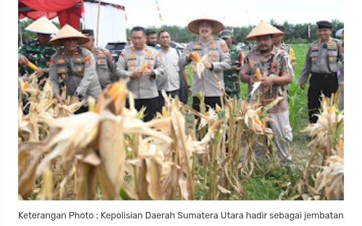 Putus Rantai Tengkulak, Polri Fasilitasi Permodalan KUR dan Penyerapan Bulog bagi Petani Jagung.