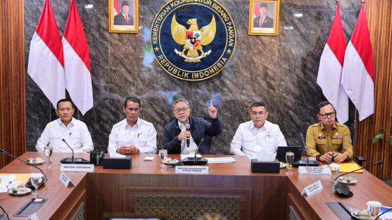 Perkuat Pengendalian Alih Fungsi Lahan Sawah, Wamen Ossy: Targetkan Peta LSD Baru di 17 Provinsi