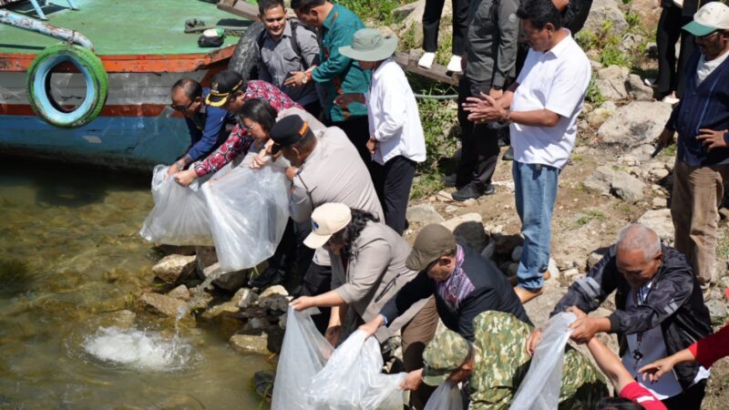 Jaga Ekosistem Danau Toba, Bupati Samosir bersama Yayasan Pusuk Buhit Tebar 1.000 Bibit Ikan dan Tanam 1.000 Pohon.