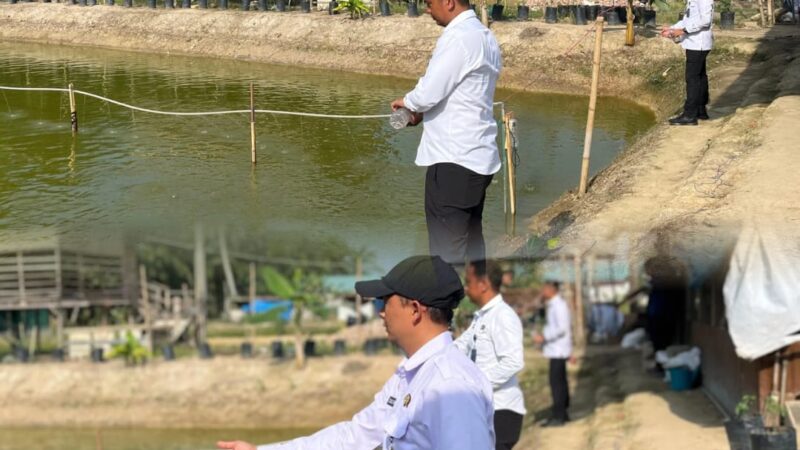 Rutan Tanjung Pura Optimalkan Lahan Ketapang dan Brandgang, Dukung Swasembada Pangan Nasional