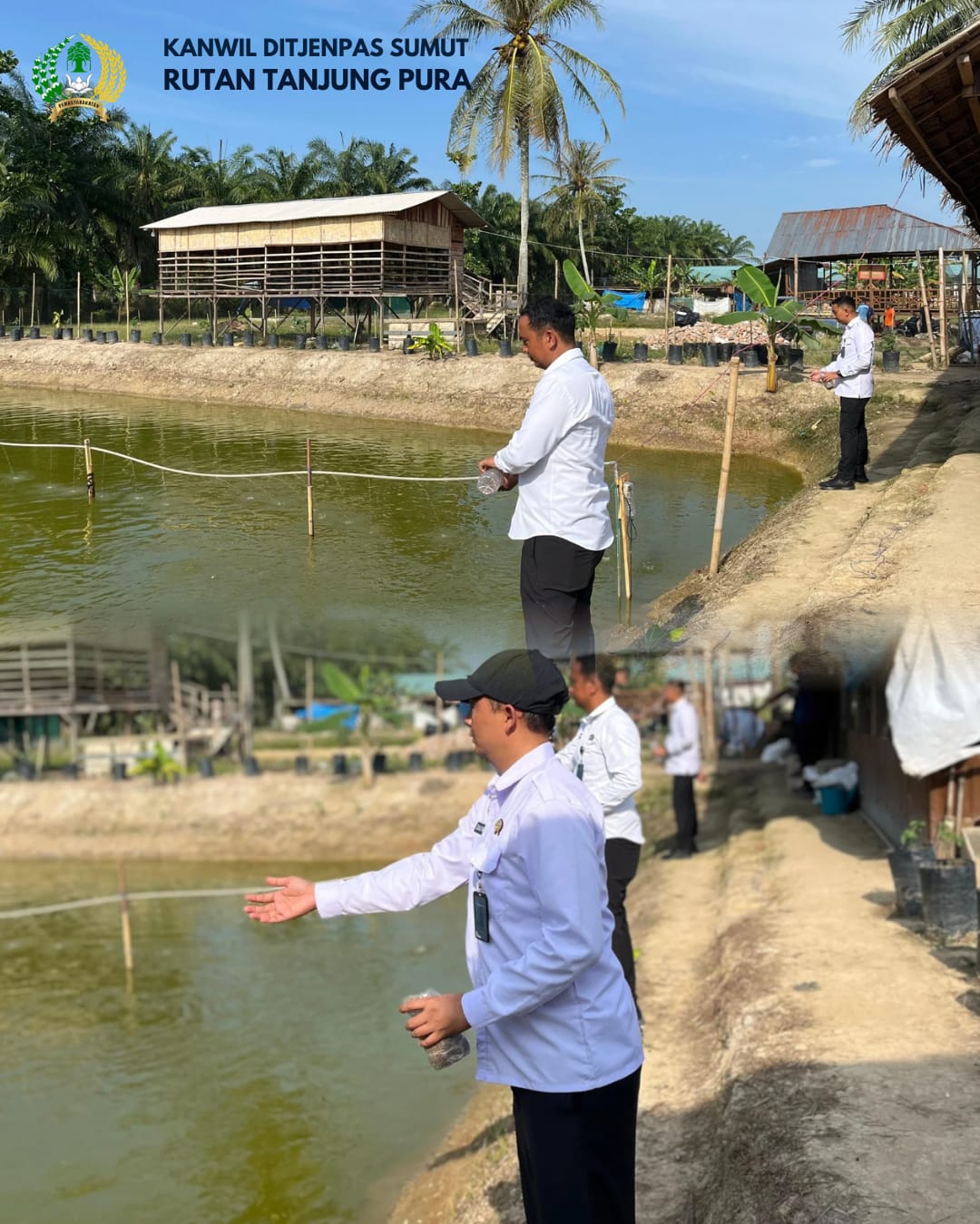Rutan Tanjung Pura Optimalkan Lahan Ketapang dan Brandgang, Dukung Swasembada Pangan Nasional