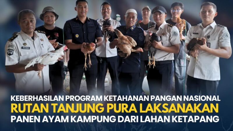 Panen Ayam Kampung, Rutan Tanjung Pura Dukung Ketahanan Pangan Nasional