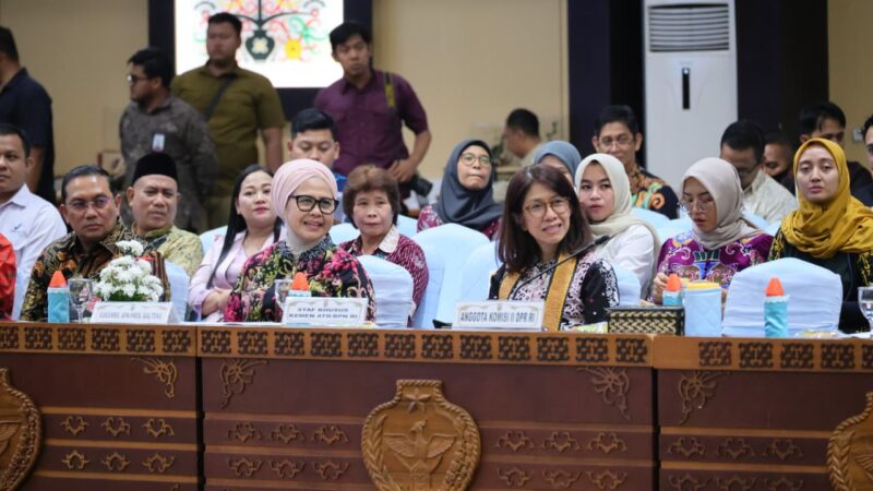 Wamen ATR/Waka BPN Minta Pemprov Kalteng Aktif Selesaikan Masalah Pertanahan Lewat GTRA