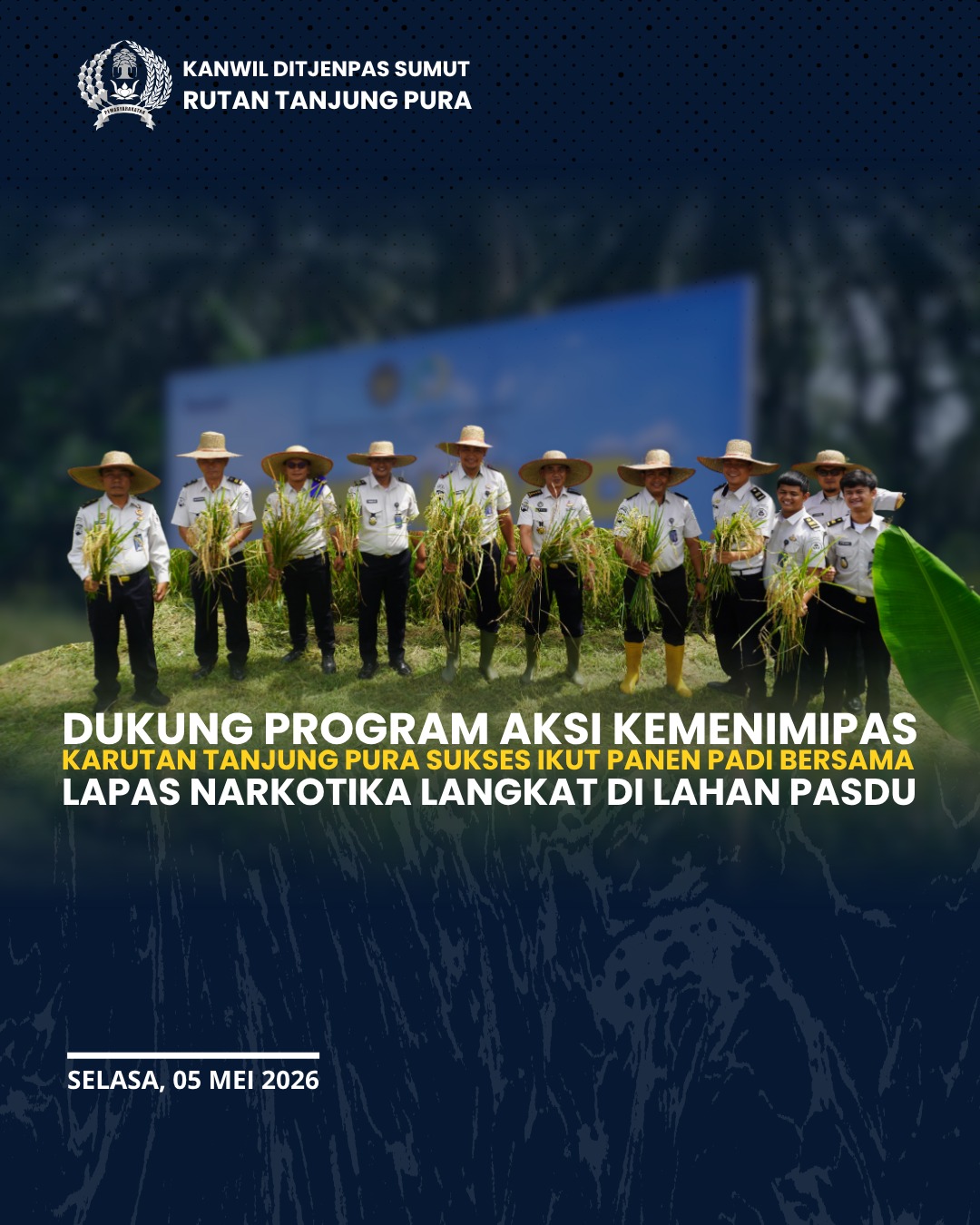 Karutan Tanjung Pura Ikuti Panen Padi di Lapas Narkotika Langkat, Dukung Ketahanan Pangan