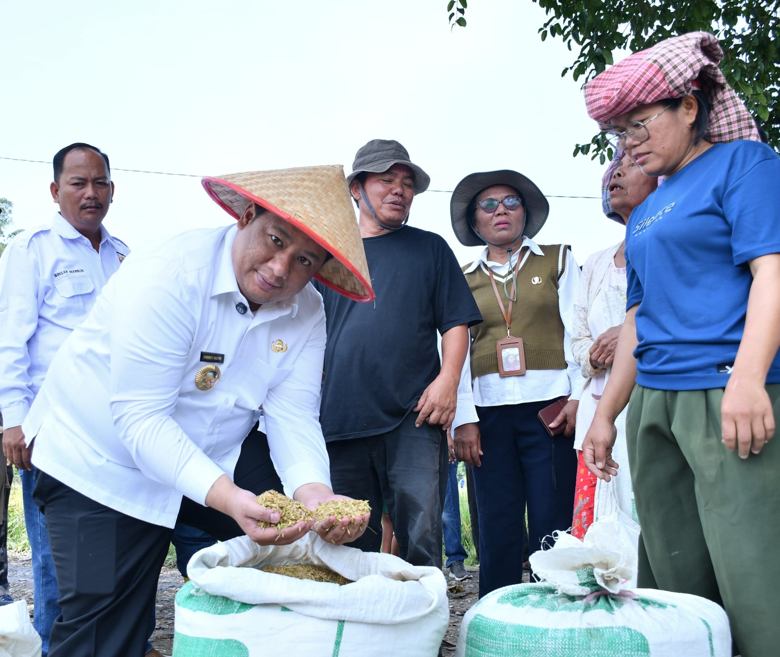 Taksi Alsintan Permudah Petani, Bupati Samosir Vandiko T. Gultom Turun Langsung Panen Padi Bersama Masyarakat.
