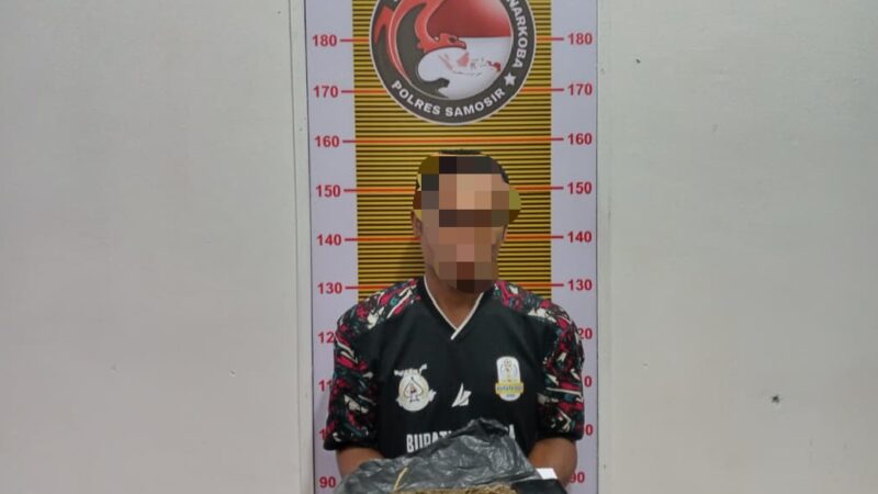 Satres Narkoba Polres Samosir Ringkus Dua Pria Pemilik Ganja di Pangururan.