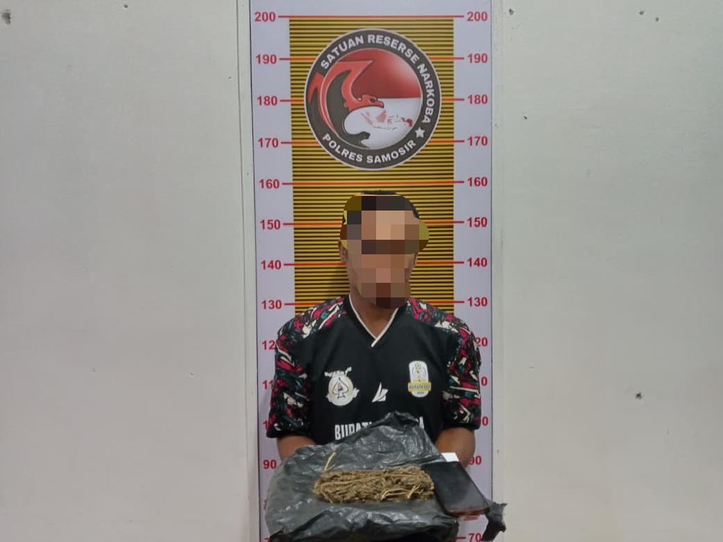 Satres Narkoba Polres Samosir Ringkus Dua Pria Pemilik Ganja di Pangururan.