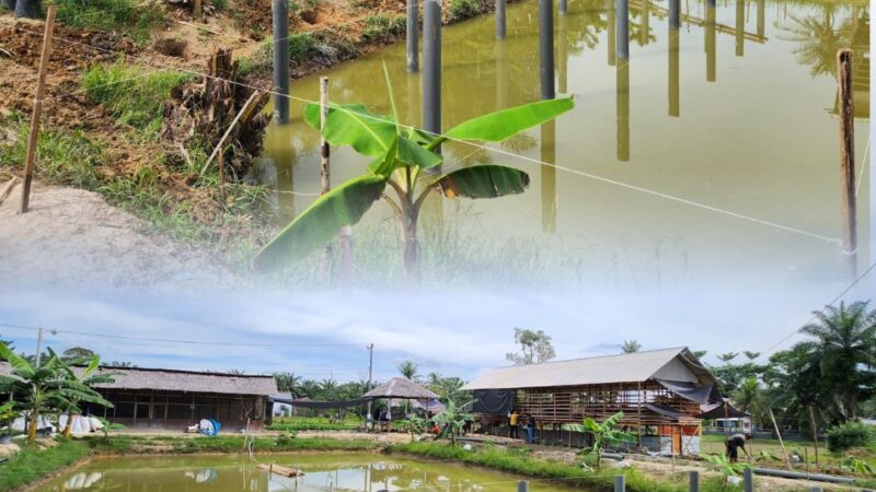 Rutan Tanjung Pura Bangun Kandang Ayam Petelur di Atas Kolam Lele, Perkuat Ketahanan Pangan Terpadu