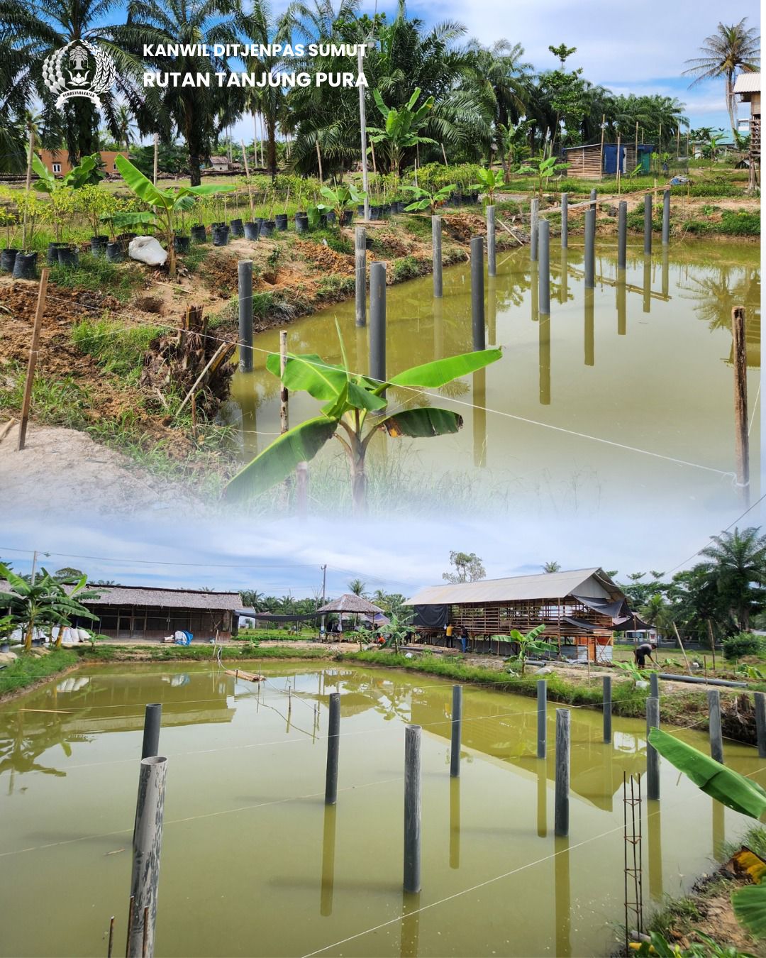Rutan Tanjung Pura Bangun Kandang Ayam Petelur di Atas Kolam Lele, Perkuat Ketahanan Pangan Terpadu