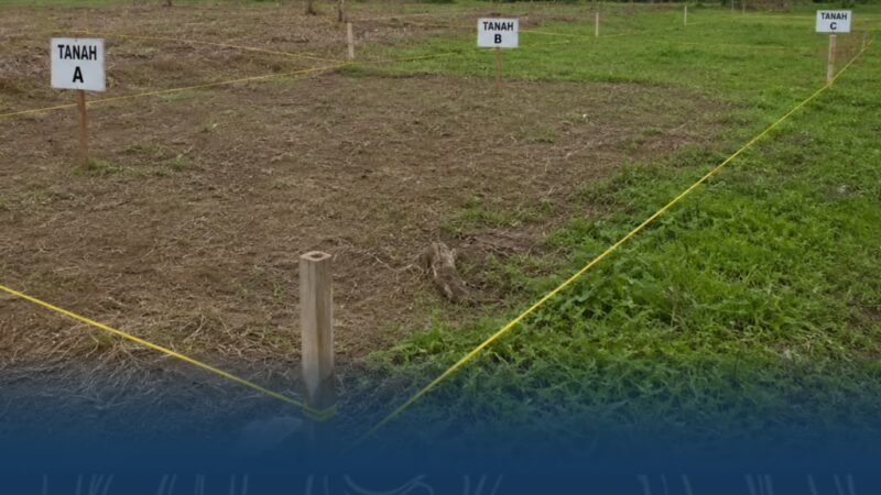 Kenali Prosedur dan Syarat Pemisahan Bidang Tanah