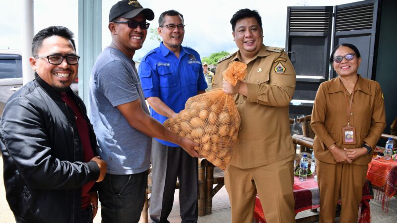 Bupati Samosir Ajak Kelompok Tani Buktikan Keberhasilan Program Kolaborasi Sumut Berkah, 5 ton bibit kentang disalurkan