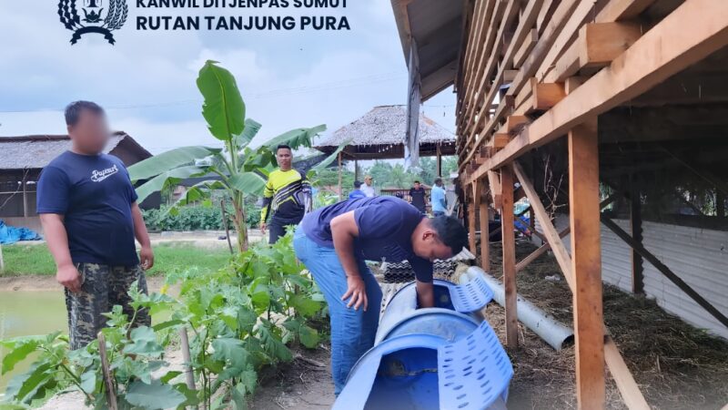 Komoditas Baru Pengganti Rutan Tanjung Pura Tabur 1.250 Benih Lele Optimalkan lahan ketahanan pangan