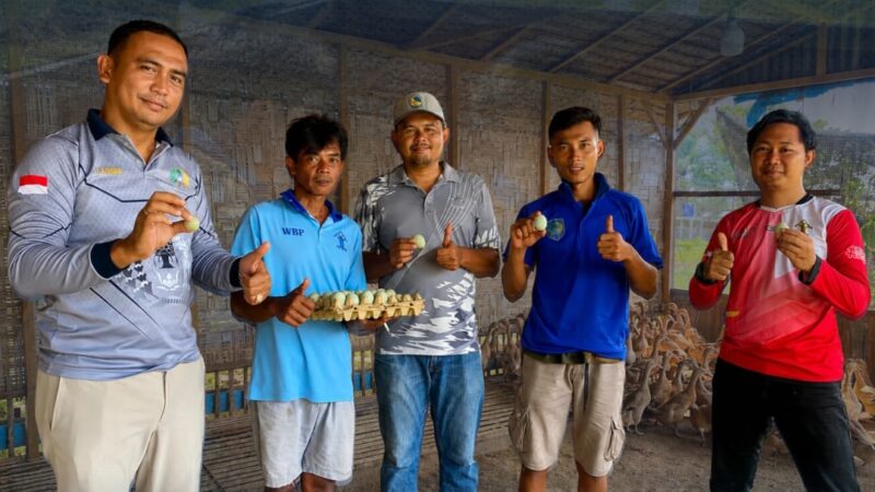 Panen Perdana Telur Bebek, Rutan Tanjung Pura Kembangkan Potensi Peternakan Warga Binaan